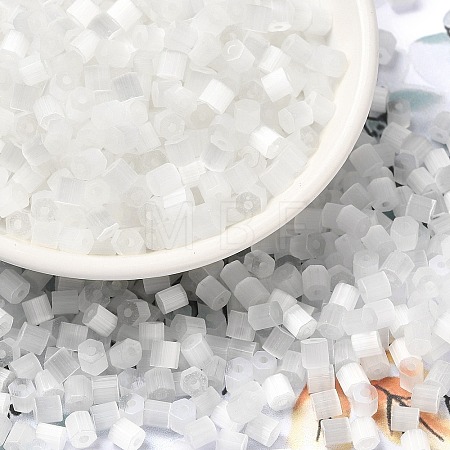 Glass Seed Beads SEED-H002-D-A801-1