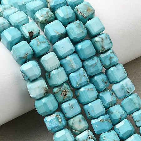 Natural Howlite Bead Strands G-H345-C01-01-1
