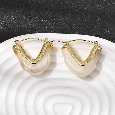 Brass Resin Hoop Earrings EJEW-P333-11A-G01-1