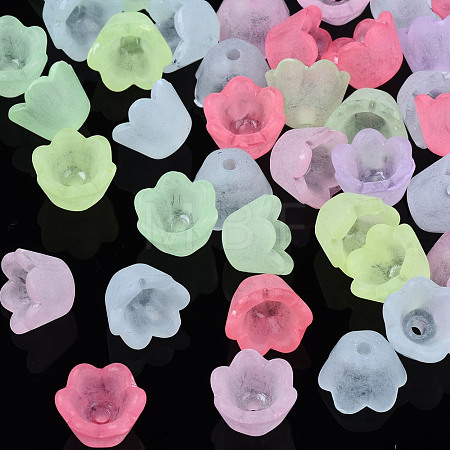Transparent Acrylic Beads FACR-N005-001-1