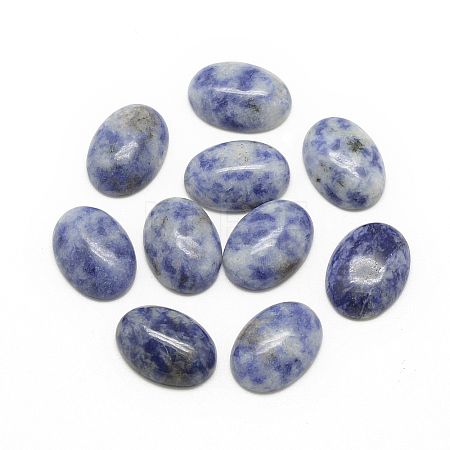 Natural Blue Spot Jasper Cabochons G-R415-18x25-45-1