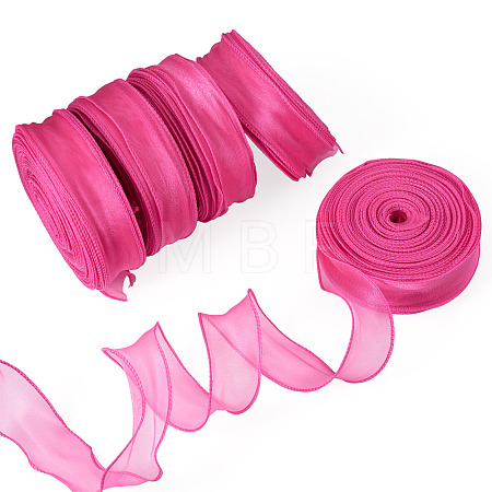 Polyester Mesh Ribbons SRIB-TAC0002-28B-03-1-1