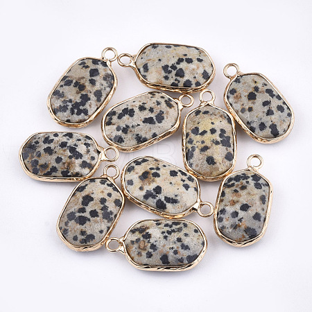 Natural Dalmatian Jasper Pendants G-T112-12H-1