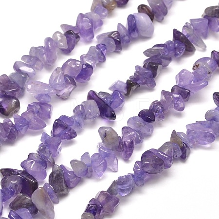 Natural Amethyst Chip Bead Strands X-G-M205-04-1