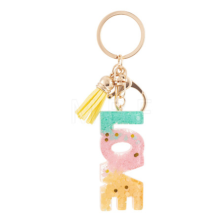 Alloy & Resin Tassel Keychainss AJEW-TADJ0001-20G-07-1