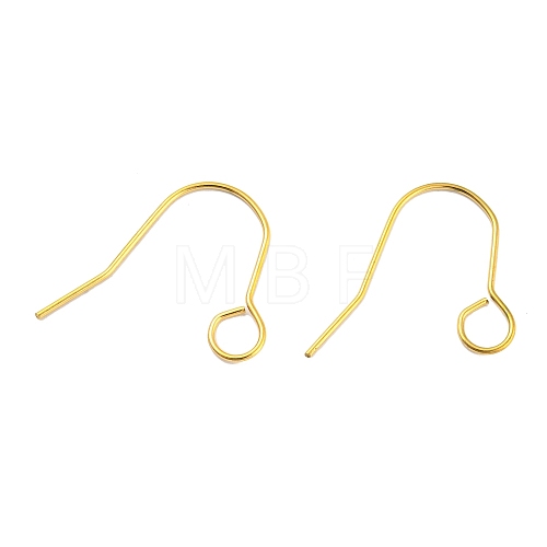 304 Stainless Steel Earring Hooks STAS-B047-31G-1