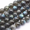 Natural Labradorite Beads Strands G-O166-08-10mm-1
