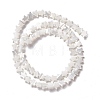 Natural Trochid Shell/Trochus Shell Beads SSHEL-O001-25A-01-1