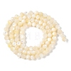 Natural White Shell Beads Strands SSHEL-E571-38A-4mm-3