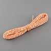 Mixed Color Twisted Paper Cord DIY-S003-04-2