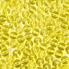 FGB Transparent Glass Seed Beads SEED-N013-01C-03-4