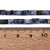 Natural Blue Spot Jasper Beads Strands GG-N002-01A-25-5