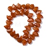 Natural Red Aventurine Beads Strands G-F783-G01-01-5