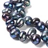 Natural Cultured Freshwater Pearl Beads Strands PEAR-J007-31-3