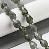 Natural Labradorite Beads Strands G-P520-B05-01-2