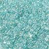 AB Color Plated Glass Seed Beads SEED-L011-06B-06-3