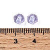 Imitation Austrian Crystal Beads SWAR-F066-6mm-04-3