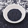 MIYUKI Delica Beads SEED-MY11-DB2191-2