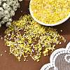 MIYUKI Seed Beads Mix Y-SEED-Z005-01I-4