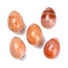Natural Red Banded Agate(Dyed & Heated) Egg Stone GG-L654-H02-09-1