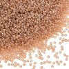 MIYUKI Round Rocailles Beads SEED-G009-RR2371-1