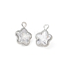 Brass Pave Clear Cubic Zirconia Charms CU-CBAD360-03P-02-1