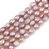 Natural Cultured Freshwater Pearl Beads Strands PEAR-P064-20H-03E-2