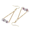 304 Stainless Steel with Natural Fluorite Dangle Earrings EJEW-JE06010-07-4