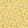 Baking Paint Glass Seed Beads SEED-T006-03B-2