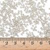 Electroplate 12/0 Glass Seed Beads SEED-Q003-2-4