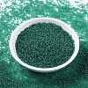 MIYUKI Round Rocailles Beads SEED-X0056-RR0147-2