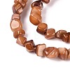 Natural Freshwater Shell Beads Strands SHEL-N037-04C-3