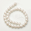 Shell Imitated Pearl Bead Strands BSHE-F0014-10mm-10-2
