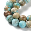 Dyed Natural Regalite/Imperial Jasper/Sea Sediment Jasper Beads Strands X-G-B124-C01-15-4