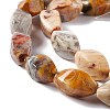 Natural Crazy Lace Agate Beads Strands G-L243A-20-4