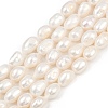 Natural Cultured Freshwater Pearl Beads Strands PEAR-P064-20K-02A-2