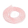 Transparent Glass Beads Strands GLAA-H021-03-07-4