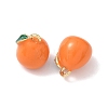 Alloy Enamel Pendants FIND-G108-03C-G-2