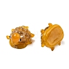 Handmade Gold Sand Lampwork Beads LAMP-K044-01A-2