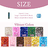220g 11 colors Glass Seed Beads SEED-TA0001-14-2