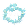 Electroplated Natural Quartz Crystal Beads Strands G-P368-05C-2