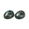 Natural Malachite Cabochons G-E464-42O-3