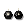 Natural Mixed Stone Pendants G-P588-02G-2