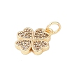 Rack Plating Brass Micro Pave Clear Cubic Zirconia Charms X-KK-Z060-13G-2