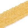 Frosted Transparent Glass Beads Strands GLAA-N016-4mm-23-1