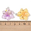 Resin Pendants RESI-D016-04B-4