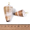 Brass & Natural Cone Shell Pendants SHEL-Q029-20-02KCG-3