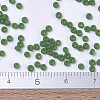 MIYUKI Round Rocailles Beads X-SEED-G007-RR0411F-4