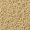 MIYUKI Round Rocailles Beads X-SEED-G007-RR0488-2