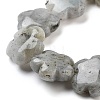 Natural Labradorite Beads Strands G-F769-P01-01-4